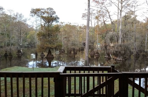 Doyline House | Beautiful Bayou Retreat