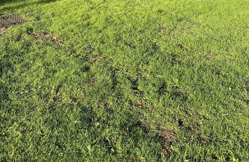 Great Hallingbury RV Rental | Beautiful Bell Tent with Shared Bathroom