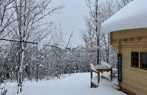 Warkworth Cabin | Beautiful Bunkie with pool on 5 acres