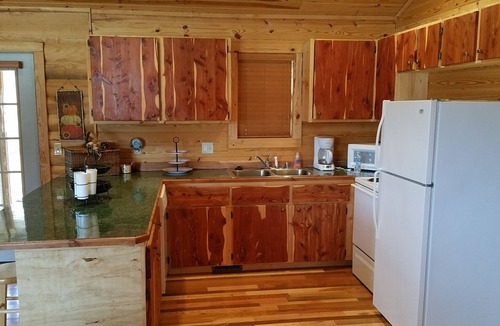 Mountain View Cabin | Beautiful cabin style home backing up on the White River!
