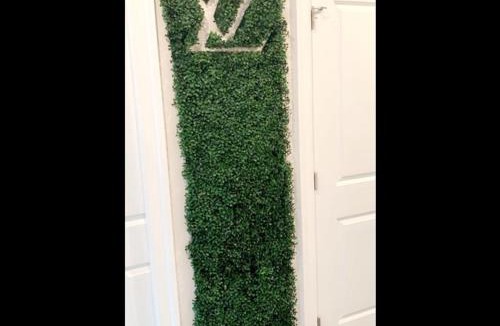 Highlandtown House | Beautiful Canton Home w/rooftop deck +Private parking