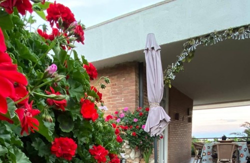Roques Daurades Villa | BEAUTIFUL CHALET, FIRST LINE OF SEA