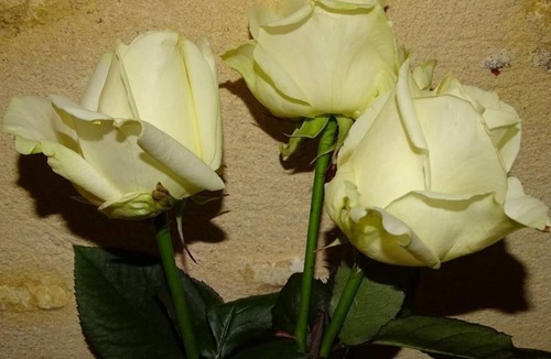 Saint-Maur Cottage | Beautiful Clos des Aubrys