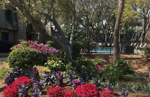 Hilton Head Island Condo | Beautiful Condo in Beachfront Complex with Heated Pool