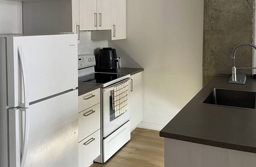Bout-de-l'Ile House | Beautiful Condo East Montreal