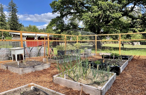 Marcola House | Beautiful county location