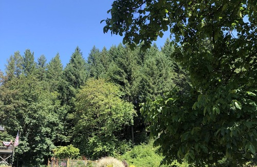 Marcola House | Beautiful county location