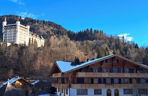Gstaad Apartment | BEAUTIFUL COZY APARTMENT IN GSTAAD