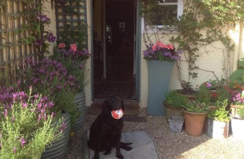 Bradninch Apartment | Beautiful Devon Farmhouse