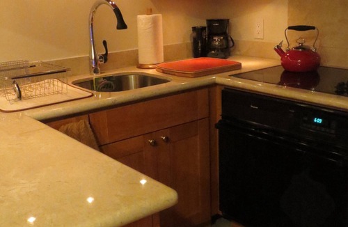 Columbia Apartment | Beautiful Efficiency: full size kitchen, pet & 420 friendly, walk to everything