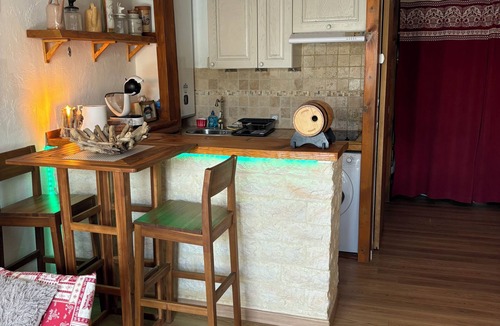 Greolieres les Neiges Apartment | Beautiful studio renovated 30 m2 with fireplace