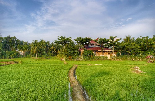 Bohorok House | Beautiful getaway in Bukit lawang (Recommended for Solo travellers)