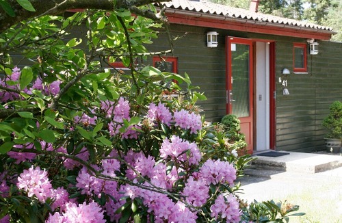 Skanderborg House | Beautiful Holiday Home in Skanderborg with Surfing nearby