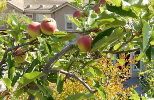 Silver Creek House | Beautiful Home in Quiet Area