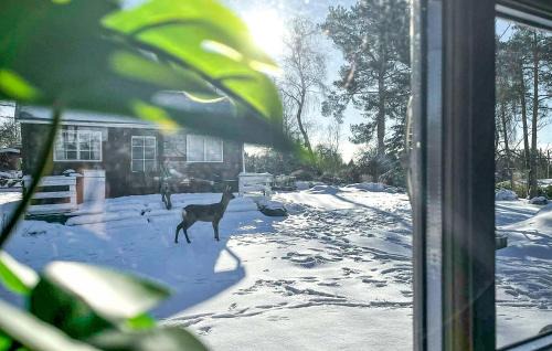 Vordingborg Municipality House | Beautiful Home In Vordingborg With Wifi