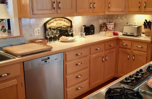 Nantucket Town House | Beautiful Home on Lily St Views of the Lily Pond Most Convenient Spot in Town