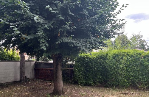Deuil-la-Barre House | Beautiful House - 15 min from Paris Center