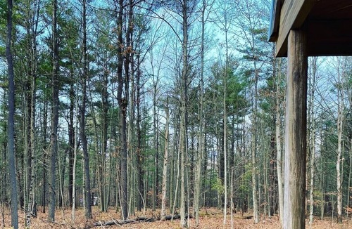 Angelica Cabin | Beautiful Hunter Log Cabin on 5 Acre Lot