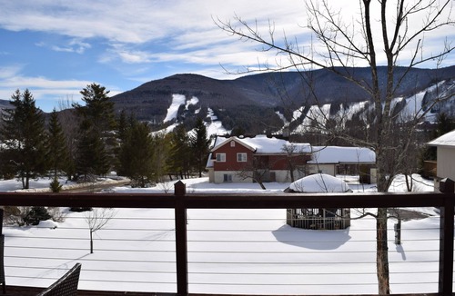 Hunter House | Beautiful Hunter Mountain Four Season House-Hot Tub, Bar Room, Gym, Views