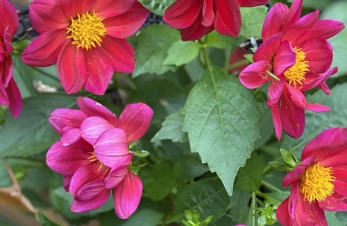 Port Douglass House | Beautiful Lake Champlain Camp with Private Sandy Beach