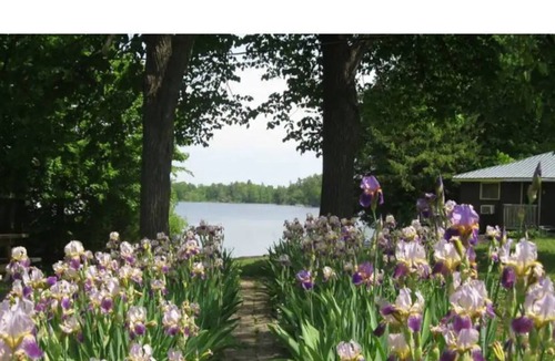 Frontenac Cottage | Beautiful Lake Front 2BR Cottage