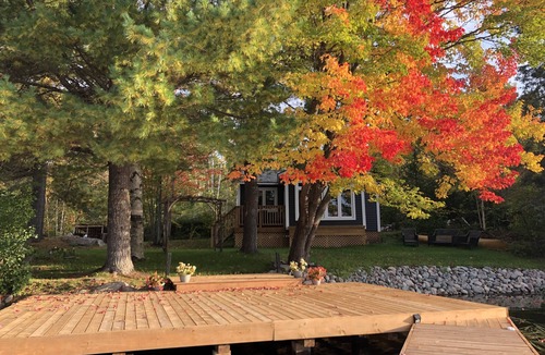 West Arm Cottage | Beautiful Lakeside Cottage