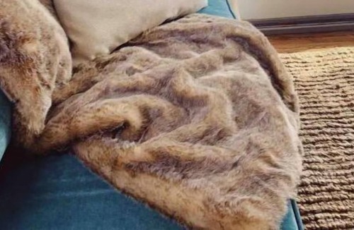 Swartswood House | Beautiful Lakeside Cottage