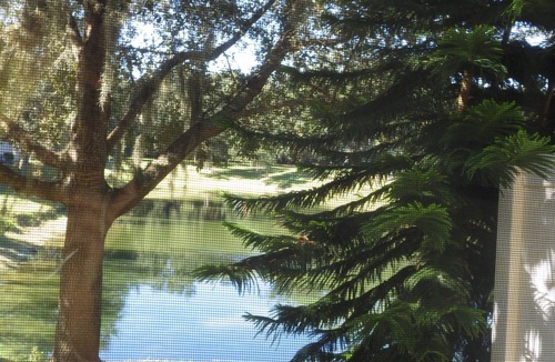Kissimmee House | BEAUTIFUL LAKEVIEW TOWNHOME, 5 MILES TO DISNEY. FULLY EQUIPED