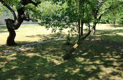 Deuil-la-Barre House | Beautiful large house in Deuil la Barre, 12 minutes from central Paris (Gare du Nord)