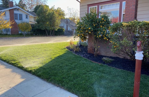 Civic Center Apartment | Beautiful & Large Garden Level Studio