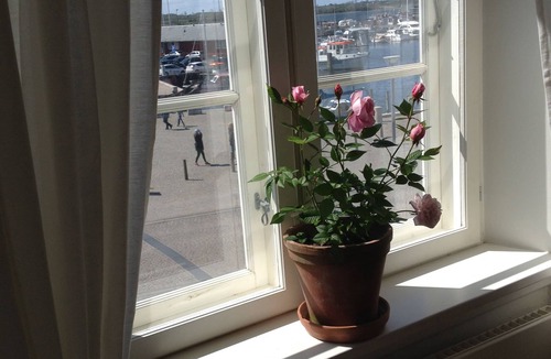 Faaborg Cottage | Beautiful Large House in the Old Toldbod. Estimates View and Location on harbor