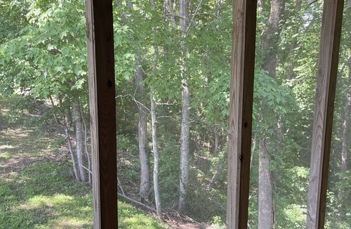 Baxter Cabin | Beautiful loft cabin!
