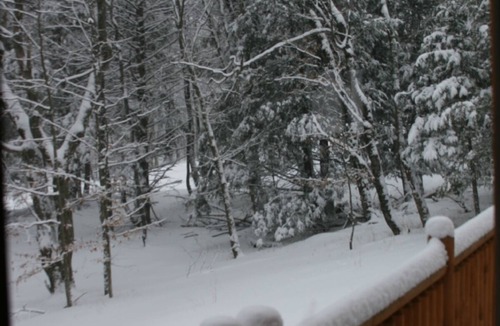 Parksville Cabin | Beautiful log cabin in Catskill