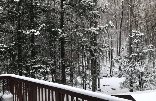 Lake Ariel Cabin | Beautiful Log Cabin in The Hideout