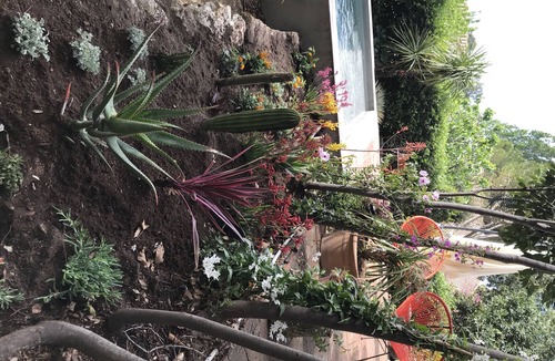 Les Cevennes House | Beautiful mas style house with pool in large wooded park in the city center