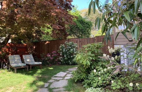 Woodlawn Apartment | Beautiful Modern Apt in historic Victorian