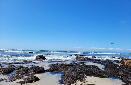 Monterey House | Beautiful Monterey Bay Home, 2BR, 2BA