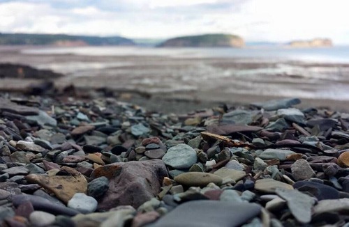 Parrsboro Cottage | Beautiful Ocean View Cottage