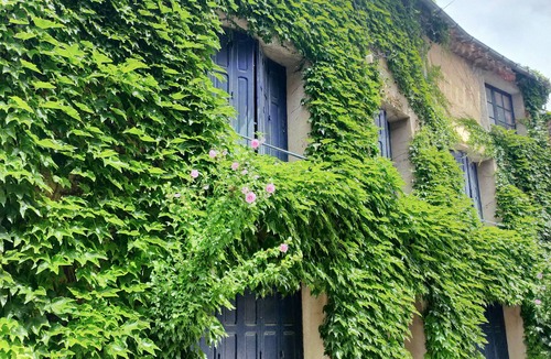 Laure-Minervois House | Beautiful, peaceful village house
