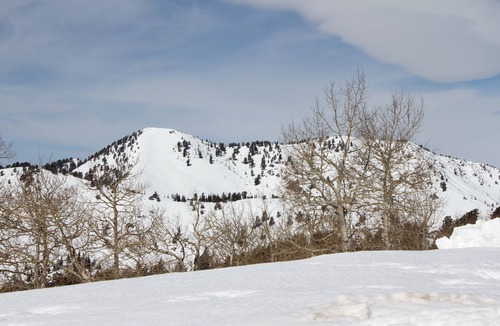 Powder Ridge Village Condo | Beautiful Powder Ridge Resort (Ski In /Ski Out) Best Value In Utah!