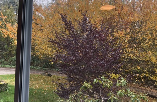 Silver Lake House | Beautiful private home 25 minutes from Seattle & close to Puget Sound Ferries.