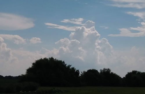 Maxwell RV Rental | Beautiful private meadow