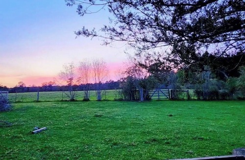 Waller County House | Beautiful Private 30 Acre Nature Retreat/PoolnIdeal for family/groups sleeps 16