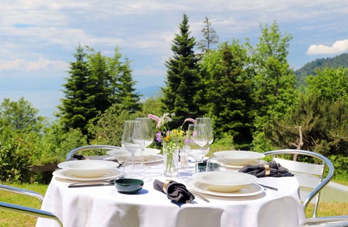 Caux House | Beautiful private villa for 5 people with WIFI, TV, terrace, pets allowed and panoramic view