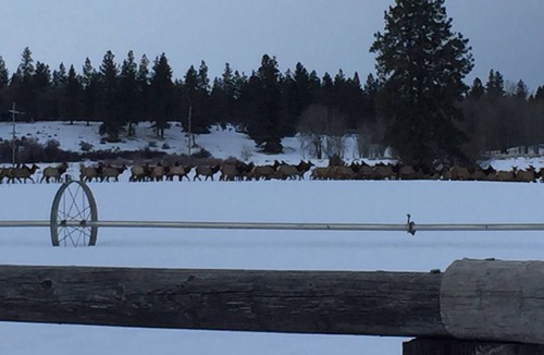 Chiloquin House | Beautiful Ranch On The Williamson River