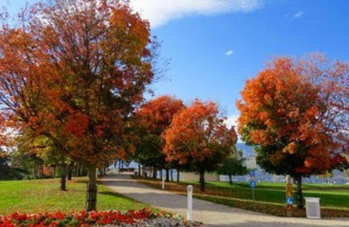 Town of Copake House | Beautiful relaxing and Secluded