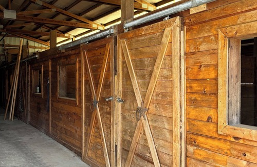 Yelm Apartment | Beautiful remodeled 3-bedroom bunkhouse. Family/Pet friendly. Lots of amenities.