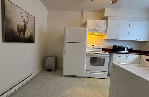 Cote-Des-Neiges—Notre-Dame-De-Grace Apartment | Beautiful rest and adventure hub! Montreal`s Best!