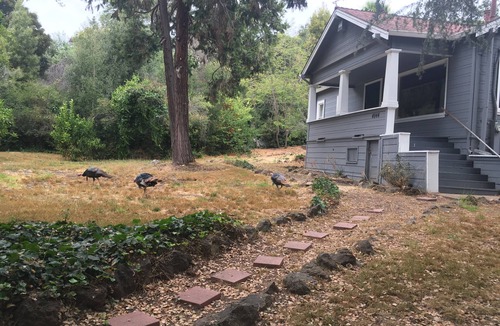 Leona Heights House | Beautiful Rural setting and easy to get around