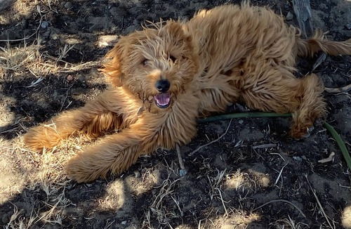 Leona Heights House | Beautiful Rural setting and easy to get around